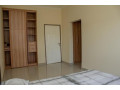 3-bedroom-house-for-rent-in-ibex-hill-small-4