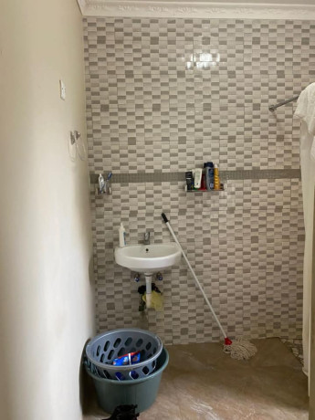 1-bedroom-apartment-for-rent-in-libala-south-big-6