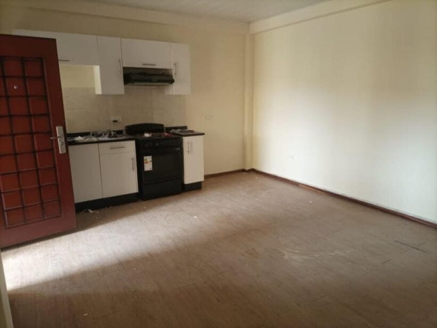 1-bedroom-flat-for-rent-in-kabulonga-big-2