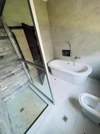 3-bedroom-house-for-rent-in-ibex-3rd-street-big-9