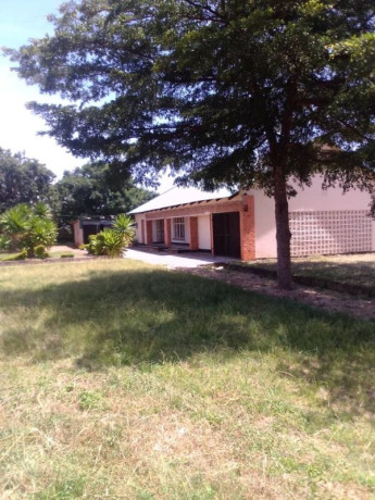 4-bedroom-for-rent-in-ibex-hill-big-0