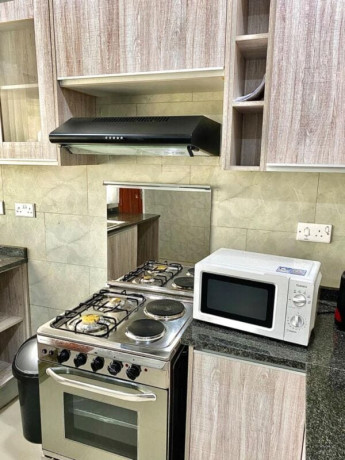 4-3-bedroom-fully-furnished-apartments-for-rent-in-state-lodge-big-9