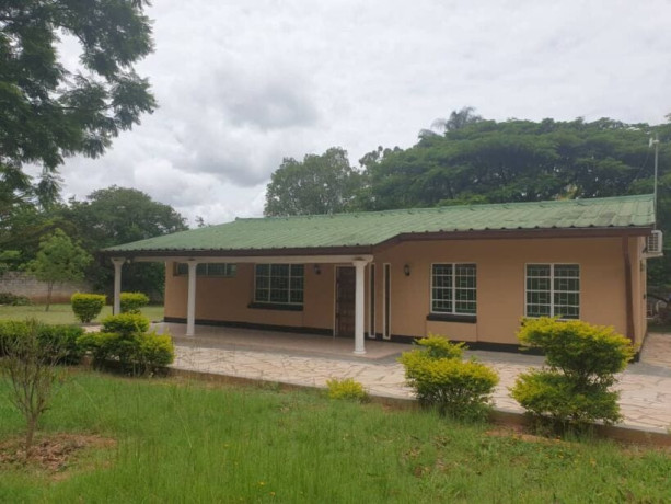 3-bedroom-house-for-rent-in-roma-big-2