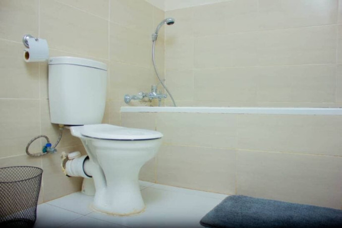 2-and-3-bedroom-fully-furnished-apartments-for-rent-in-roma-big-5