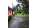 4-bedroom-house-for-rent-in-avondale-small-6