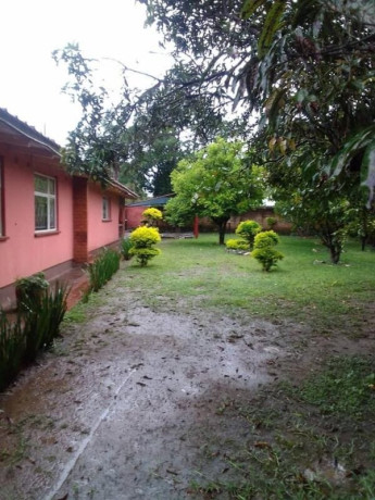 4-bedroom-house-for-rent-in-avondale-big-6