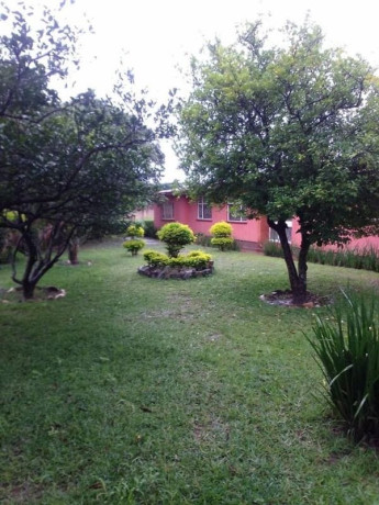 4-bedroom-house-for-rent-in-avondale-big-7