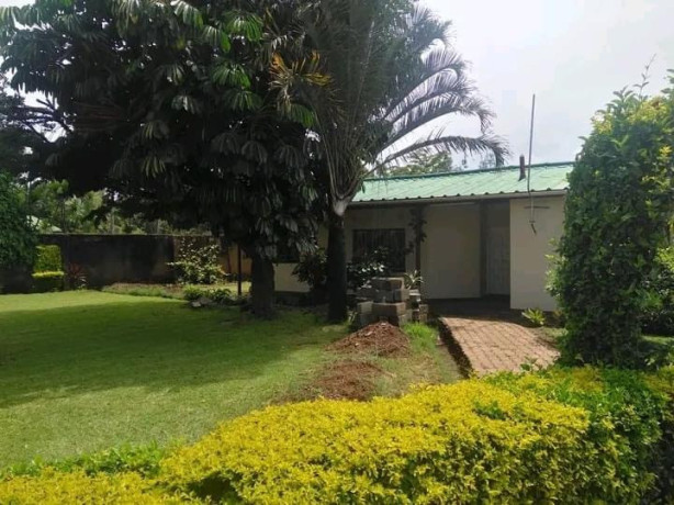 5-bedroom-house-for-rent-in-ibex-hill-big-6