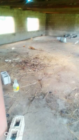 3-bedroom-farm-house-for-rent-in-kalundu-big-7