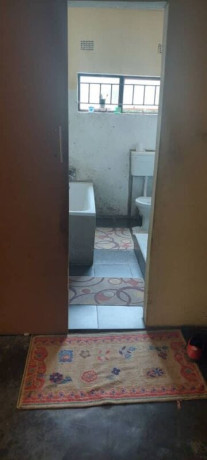 3-bedroom-farm-house-for-rent-in-kalundu-big-5