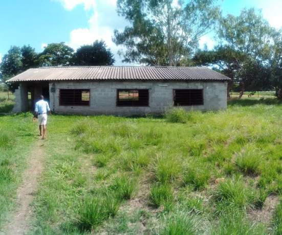 3-bedroom-farm-house-for-rent-in-kalundu-big-4