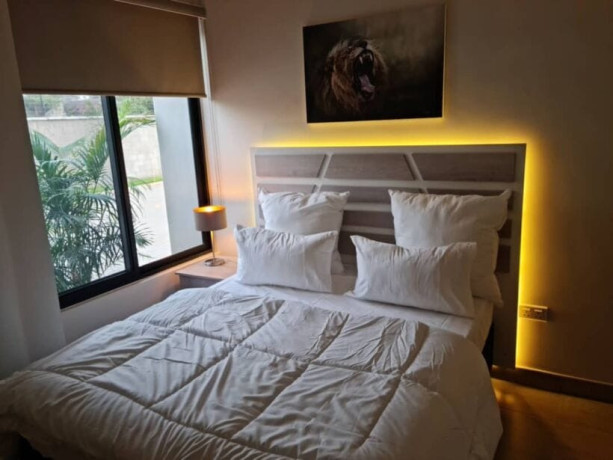 2-bedroom-apartment-for-rent-in-kabulonga-big-3