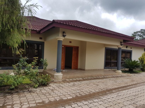 3-bedroom-house-for-rent-in-riverside-big-6