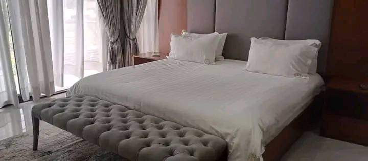 2-4-bedroom-fully-furnished-duplexs-for-rent-in-roma-park-big-2