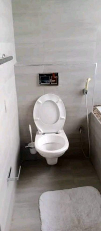 2-4-bedroom-fully-furnished-duplexs-for-rent-in-roma-park-big-6