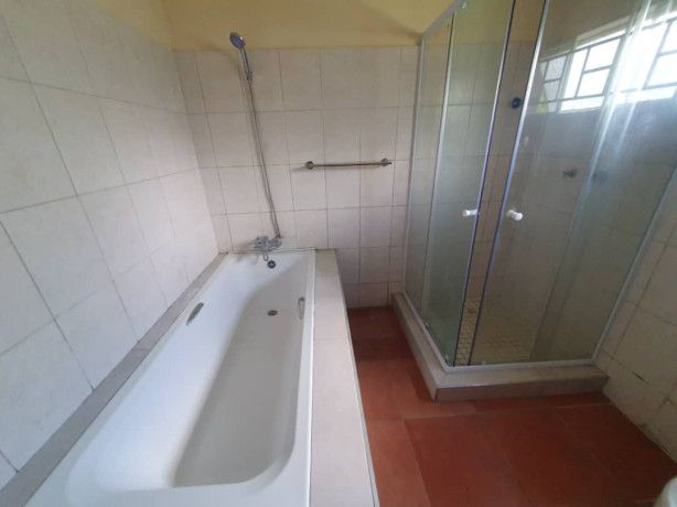 2-bedroom-house-for-rent-in-roma-big-8