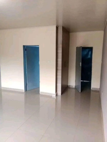 2-bedroom-flat-for-rent-in-lilayi-big-6