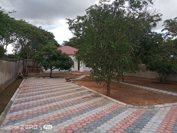 3-bedroom-standalone-house-for-rent-in-chudleigh-big-0