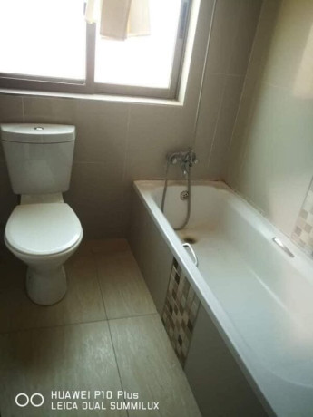 3-bedroom-flat-for-rent-in-roma-park-big-6