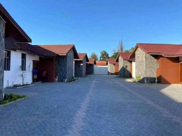 3-bedroom-flat-for-rent-in-olympia-park-big-5