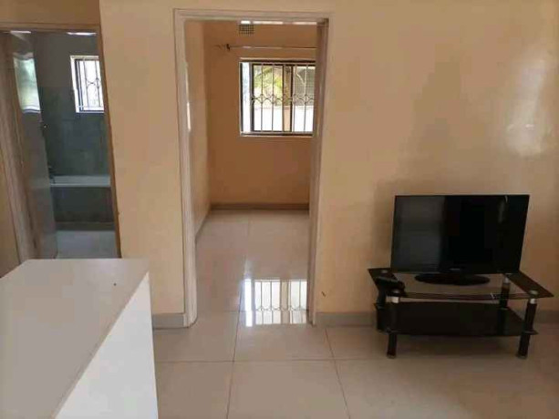 1-bedroom-flat-for-rent-in-roma-big-2