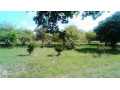 2-bedroom-farm-house-for-rent-in-lusaka-west-small-0