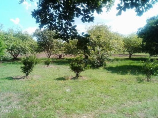 2-bedroom-farm-house-for-rent-in-lusaka-west