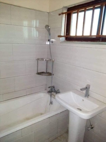 2-bedroom-apartment-for-rent-in-chilanga-big-2