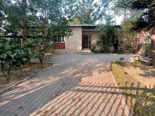 3-bedrooms-house-for-rent-in-roma-big-4