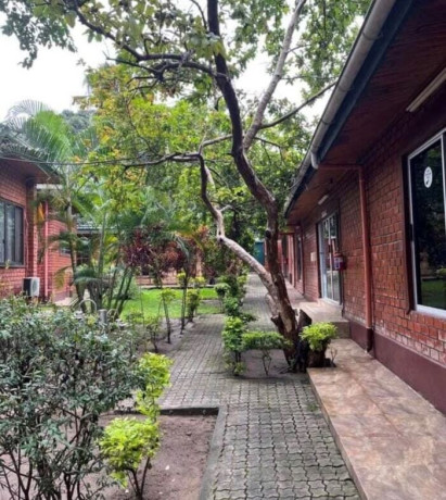 commercial-building-for-sale-in-olympia-big-0