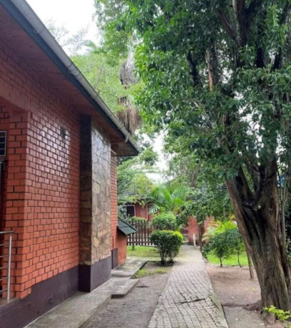 commercial-building-for-sale-in-olympia-big-4