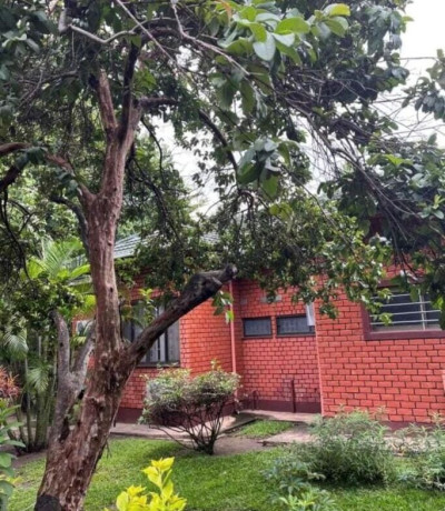 commercial-building-for-sale-in-olympia-big-3