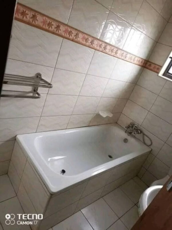 2-bedroom-flat-for-rent-in-libala-south-big-6