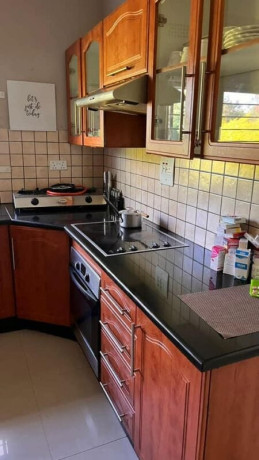 3-bedroom-house-for-rent-in-ibex-hill-big-2