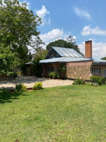 4-bedroom-house-for-rent-in-roma-big-5