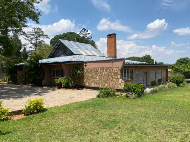 4-bedroom-house-for-rent-in-roma-big-4