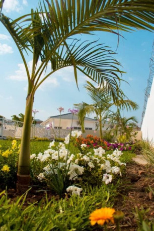 3-bedroom-house-for-rent-in-ibex-hill-big-8