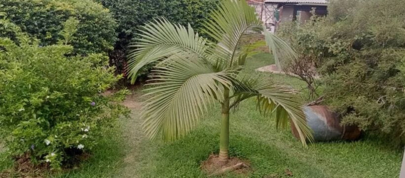 2-bedroom-flat-for-rent-in-olympia-main-big-4