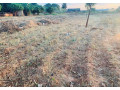1-acre-plot-for-sale-in-ibex-hill-small-1