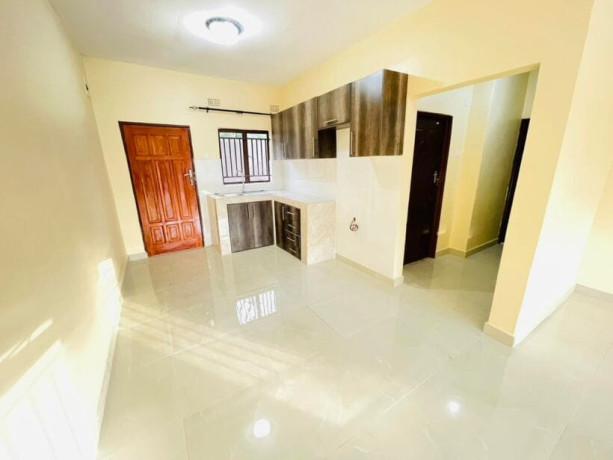 newly-built-2-bedroom-flat-in-new-avondale-big-2