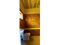 3-bedroom-house-for-rent-in-ibex-hill-small-4