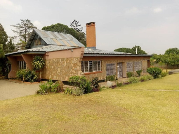 4-bedroom-standalone-house-for-rent-in-roma-big-8