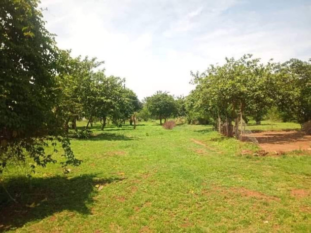 3-bedroom-farm-house-for-rent-in-new-kasama-big-3