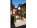 1-bedroom-spacious-bedsitter-for-rent-in-chelston-small-2