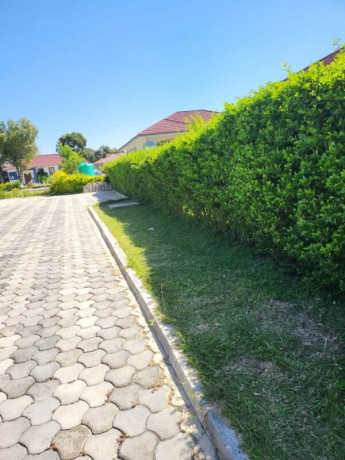 3-bedroom-house-for-rent-in-silverest-big-3