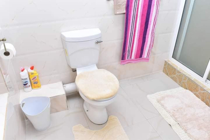 6-bedroom-fully-furnished-house-for-rent-in-state-lodge-big-2