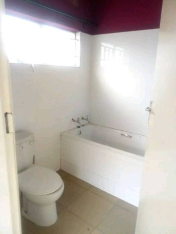 2-bedroom-newly-build-flat-for-rent-in-kabangwe-big-0