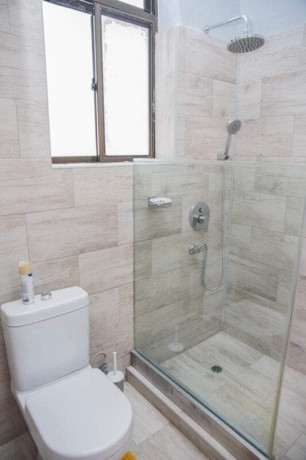 4-bedroom-fully-furnished-apartment-for-rent-in-silverest-gardens-big-6