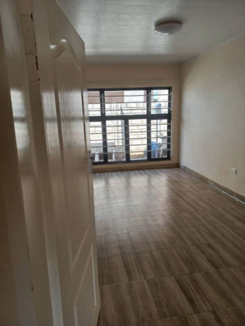 2-3-bedroom-flats-for-rent-in-ibex-hill-big-9