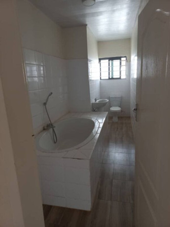 2-3-bedroom-flats-for-rent-in-ibex-hill-big-6